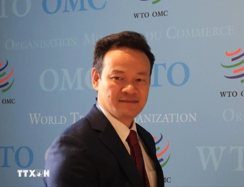 越南常驻日内瓦代表团团长梅潘勇大使。图自越通社