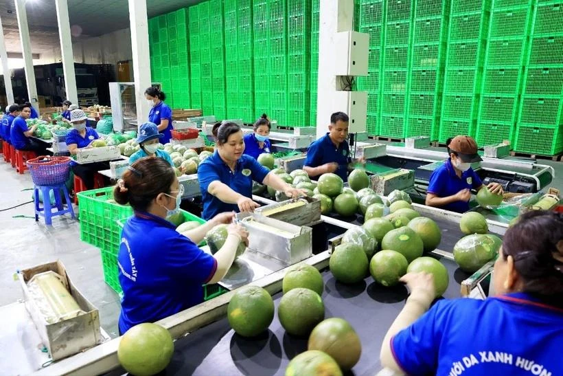 资料图。图自越通社