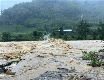 平定省多地遭洪涝灾害。图自越通社