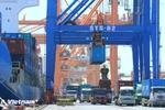 2025年实现8%以上增长目标：需要高度决心和强有力行动