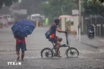 资料图：受台风“韦帕”影响，菲律宾奎松市出现强降雨。图自越通社