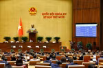 国会表决通过《引渡法》。图自越通社