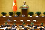 国会副主席阮氏青主持会议。图自越通社