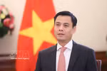 越南外交部副部长邓黄江就此访内容接受媒体记者的采访。图自越通社