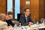 越南常驻联合国代表团团长、2026年《不扩散核武器条约》审议会议指定主席杜雄越大使主持磋商会。图自越通社