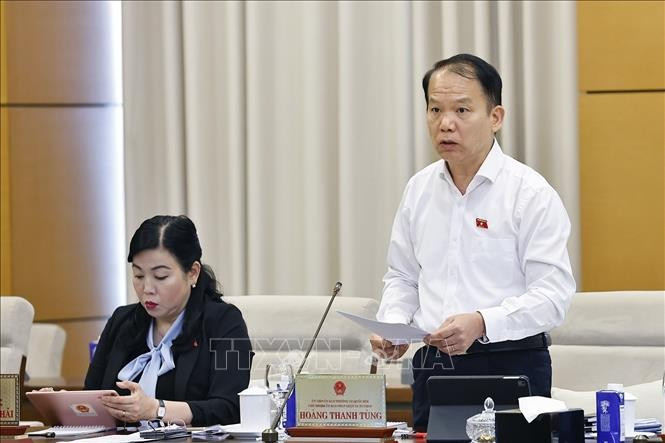 国会法律与司法委员会主席黄青松发表讲话。图自越通社