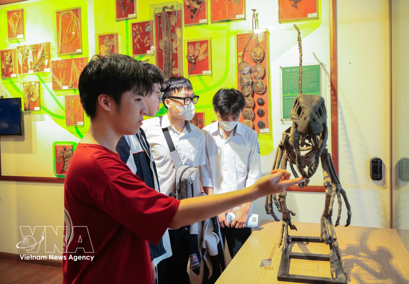 学生们参观越南自然博物馆。图自越通社