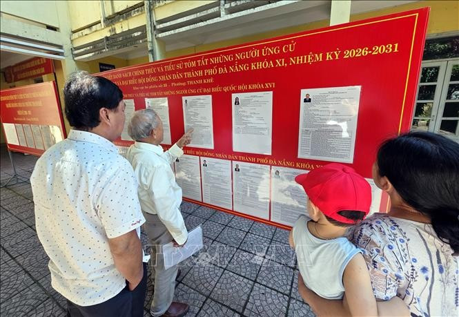 候选人名单和个人简介均公开展示。图自越通社