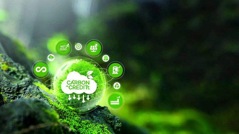 越南许多地方都拥有巨大的碳信用额利用潜力。图自互联网