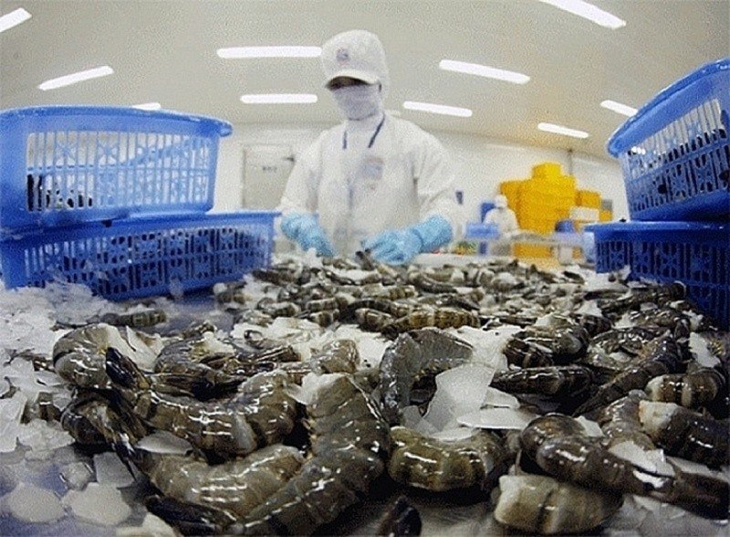 虾类加工链。图自互联网