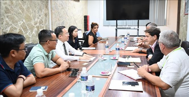 越南电视台代表团会见古巴社会信息与传播委员会。图自越通社