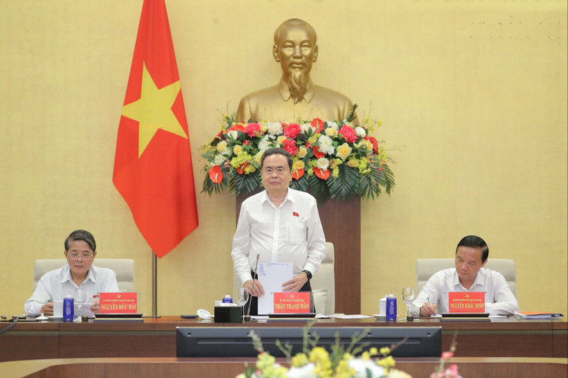 越南国会主席陈青敏发表讲话。图自daibieunhandan.vn