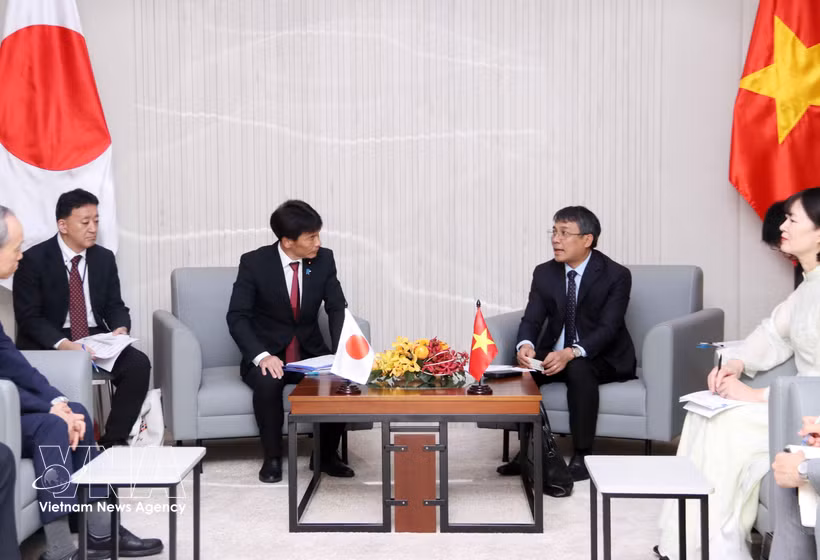 越南外交部常务副部长阮明羽会见日本外务大臣政务官、众议院议员岛田智明。图自越通社