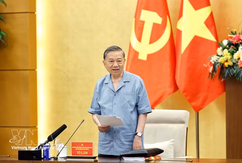 越共中央总书记、国家主席、越共中央政治局和中央书记处第十号检查监督团团长苏林发表讲话。图自越通社