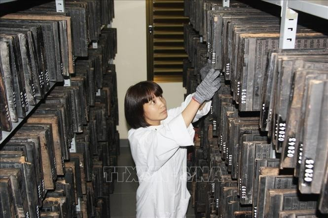 电子档案管理：助推两级地方政府现代化建设的关键驱动力。图自越通社