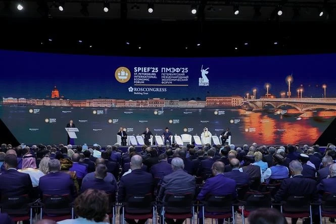 第28届圣彼得堡国际经济论坛场景。图自越通社