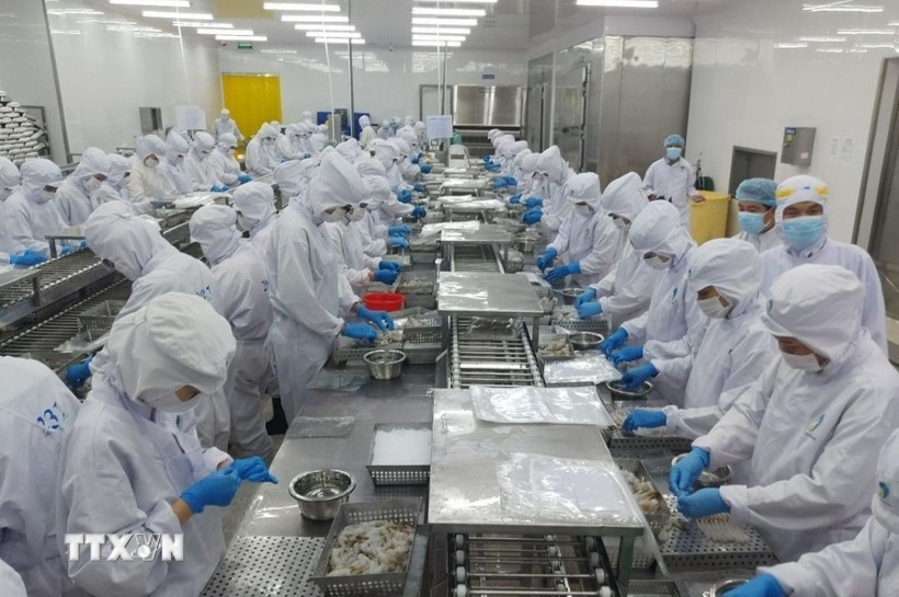 水产品加工链。图自越通社