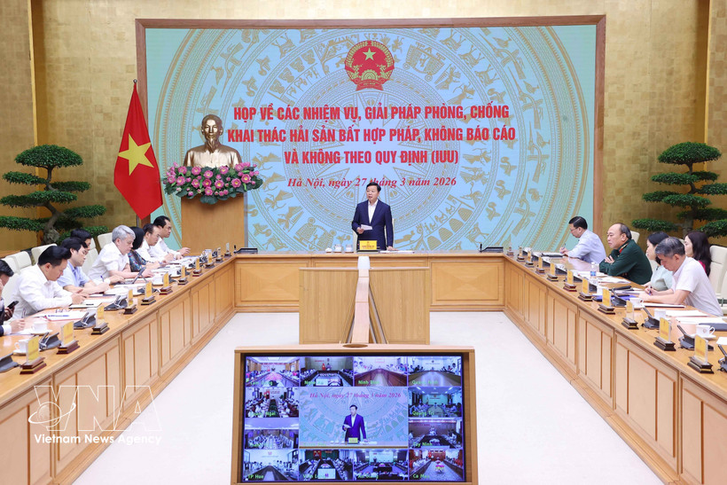 越南政府副总理陈红河发表讲话。图自越通社