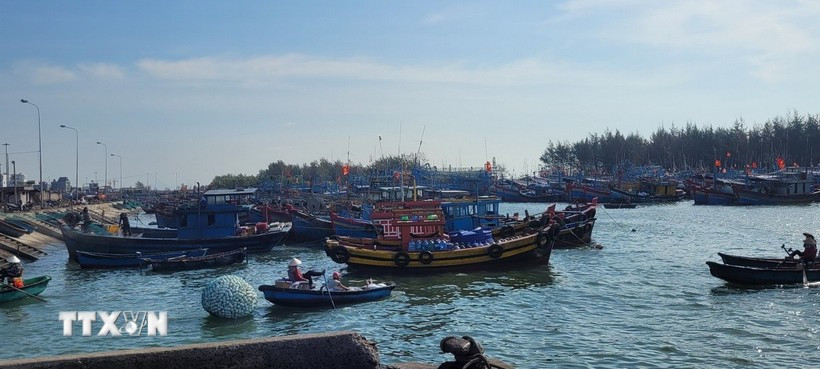 胡志明市所有符合条件的渔船均已获许可。图自越通社