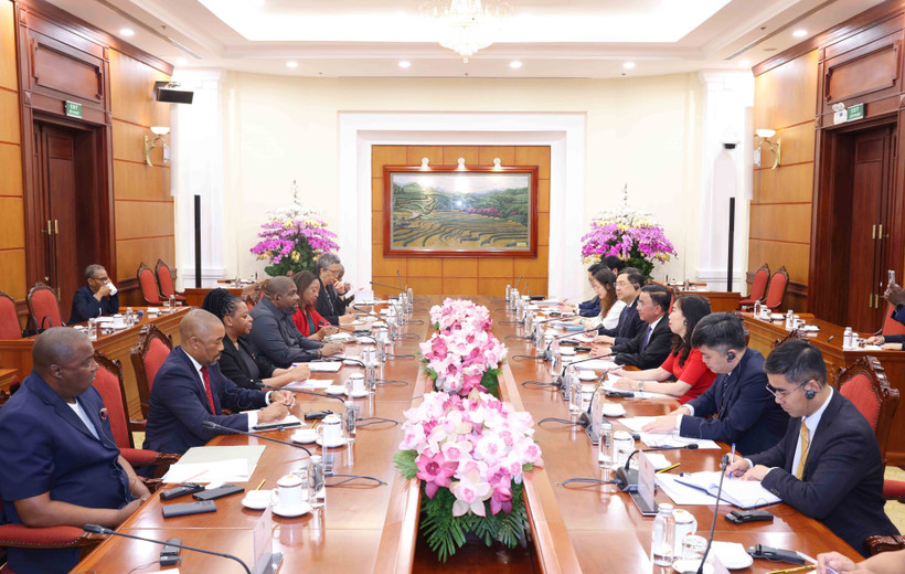 越共中央书记处常务书记陈锦绣与莫桑比克解放阵线党总书记罗克·席尔瓦举行会谈。图自越通社
