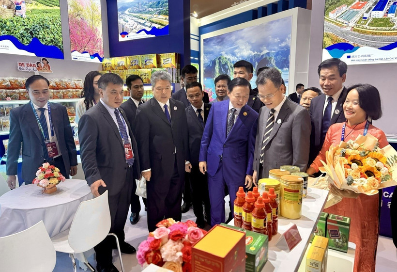 越南政府副总理陈红河参观越南商品展位。图自越通社