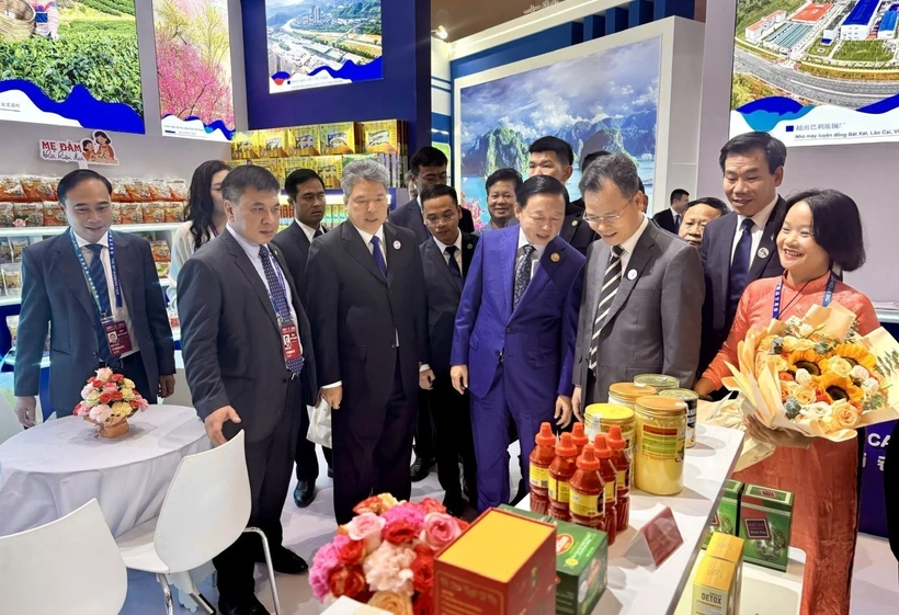 越南政府副总理陈红河参观越南商品展位。图自越通社
