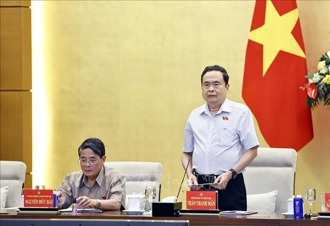 越南国会主席陈青敏发表讲话。图自越通社