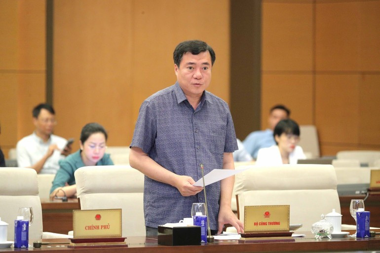 工贸部副部长阮生日新发表讲话。图自越通社
