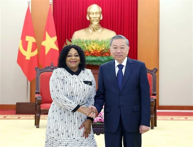 苏林会见南非非洲人国民大会第一副总书记莫科尼亚内。图自越通社