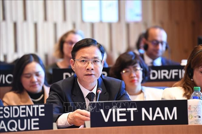 越南外交部副部长吴黎文发表讲话。图自越通社