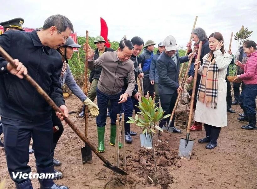 越南自然资源与环境部部长杜德维同太平省人民委员会领导人和代表民在太瑞湿地自然保护区植树。图自Vietnam+