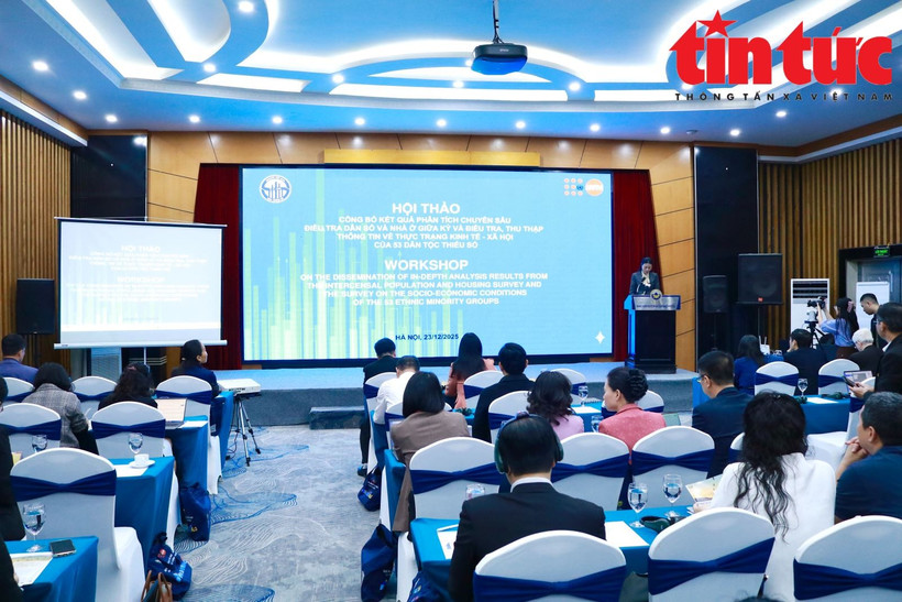 越南统计总局与联合国人口基金（UNFPA）联合举办研讨会。图自baotintuc.vn
