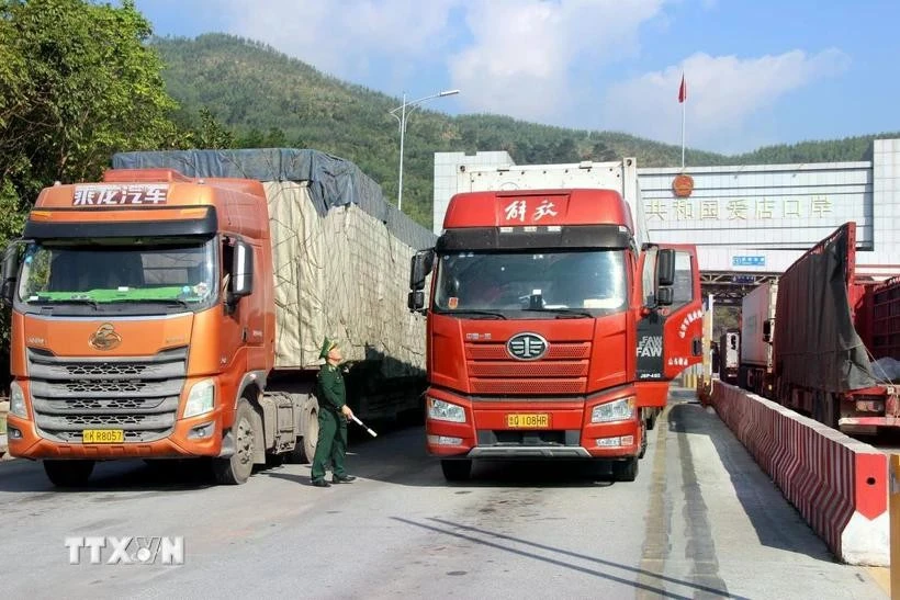加快农产品出口通关手续办理速度。图自越通社