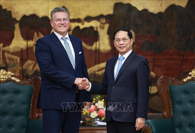 越南政府副总理裴青山会见欧盟委员会负责贸易和经济安全事务委员马罗什·谢夫乔维奇。图自越通社