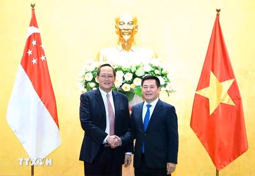 2024年3月，越南工贸部部长阮鸿延与新加坡贸工部第二部长陈诗龙就扩大经贸和能源合作举行会谈。图自越通社