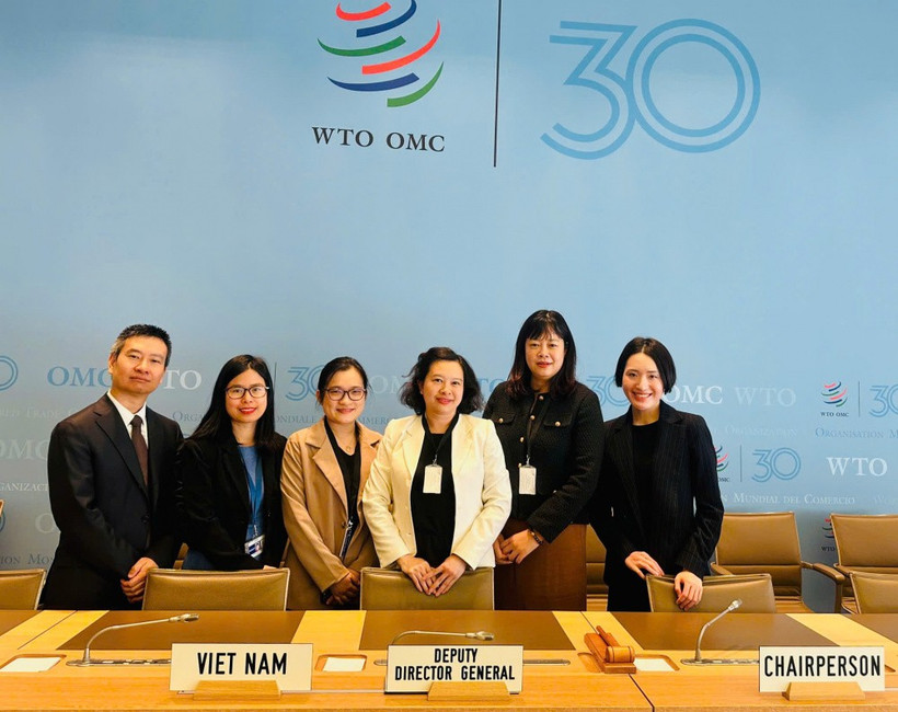 出席世界贸易组织原产地规则委员会例行会议的越南代表团。图自tapchicongthuong.vn