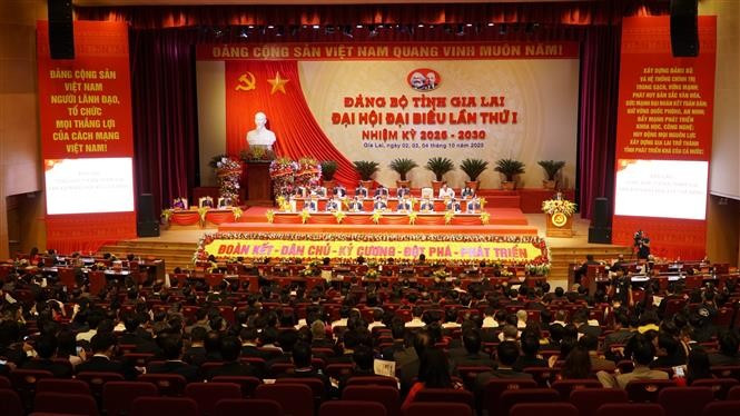 越共嘉莱省第一次代表大会闭幕式。图自越通社