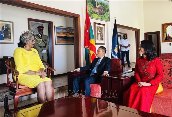 格林纳达总督塞茜尔·拉格雷纳德会见越南驻委内瑞拉兼驻格林纳达大使武中美。图自越通社