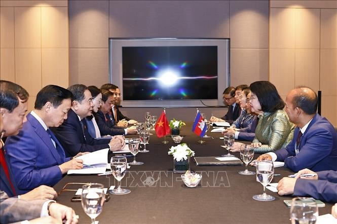 越南国会主席陈青敏会见柬埔寨国会主席昆索达莉。图自越通社