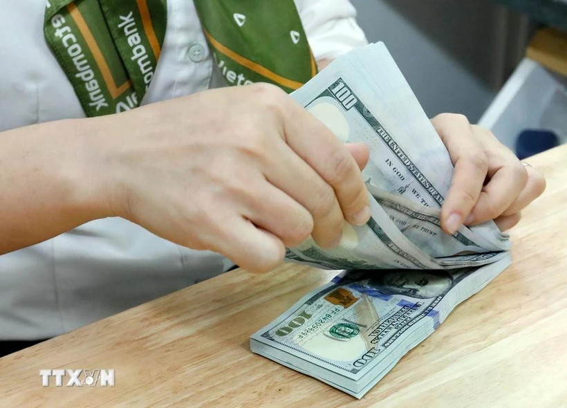 附图。图自越通社