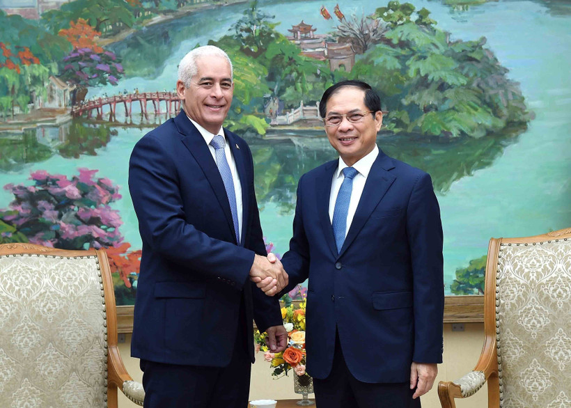 裴青山外长会见古巴外交部第一副部长赫拉尔多·佩尼亚尔韦尔·波塔尔。图自越通社
