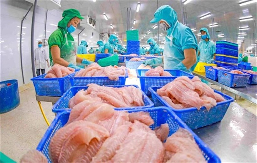 查鱼加工链。图自Vietnam+