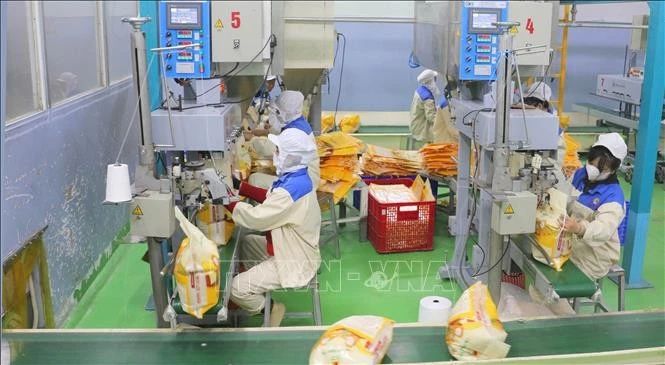大米包装环节。图自越通社
