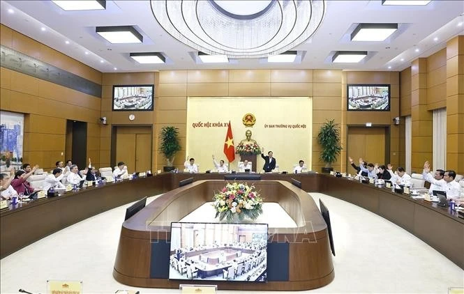 国会常务委员会委员表决。图自越通社