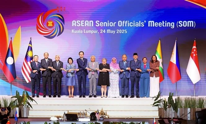 越南外交部副部长杜雄越（左五）和东盟高官会各国代表团代表合影。图自越通社