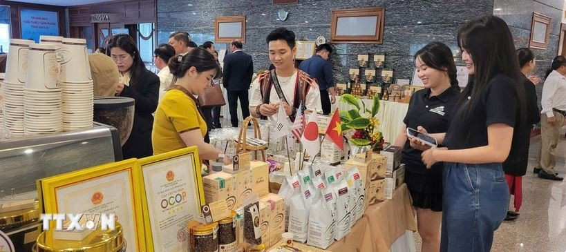 与会代表参观嘉莱省农产品的展位。图自越通社