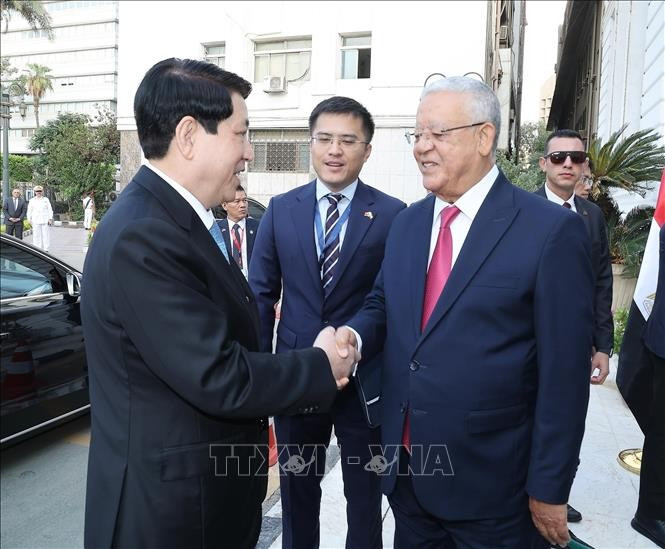 越南国家主席梁强会见埃及众议院议长哈纳菲·贾巴利。图自越通社