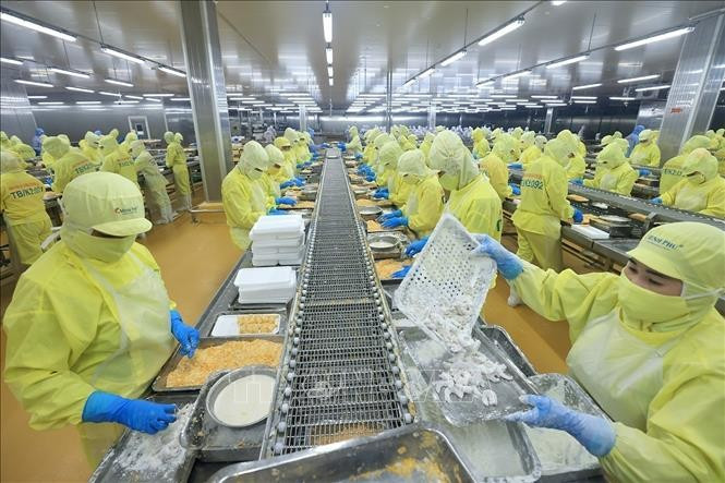 明富水产品股份公司虾类加工链。图自越通社