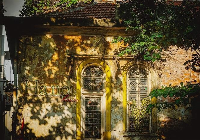 一幢幢房屋、一排排树木仿佛披上了秋日温柔的新装，在金色光影中摇曳生姿，让人心生怦然与眷恋。图自 越通社