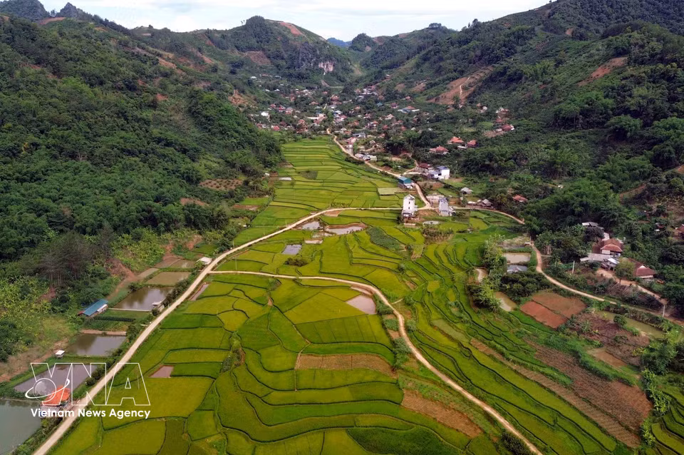 山罗省帐钙坊（Chiềng Cơi）洪村（Bản Hùn）的梯田景观。图自 越通社